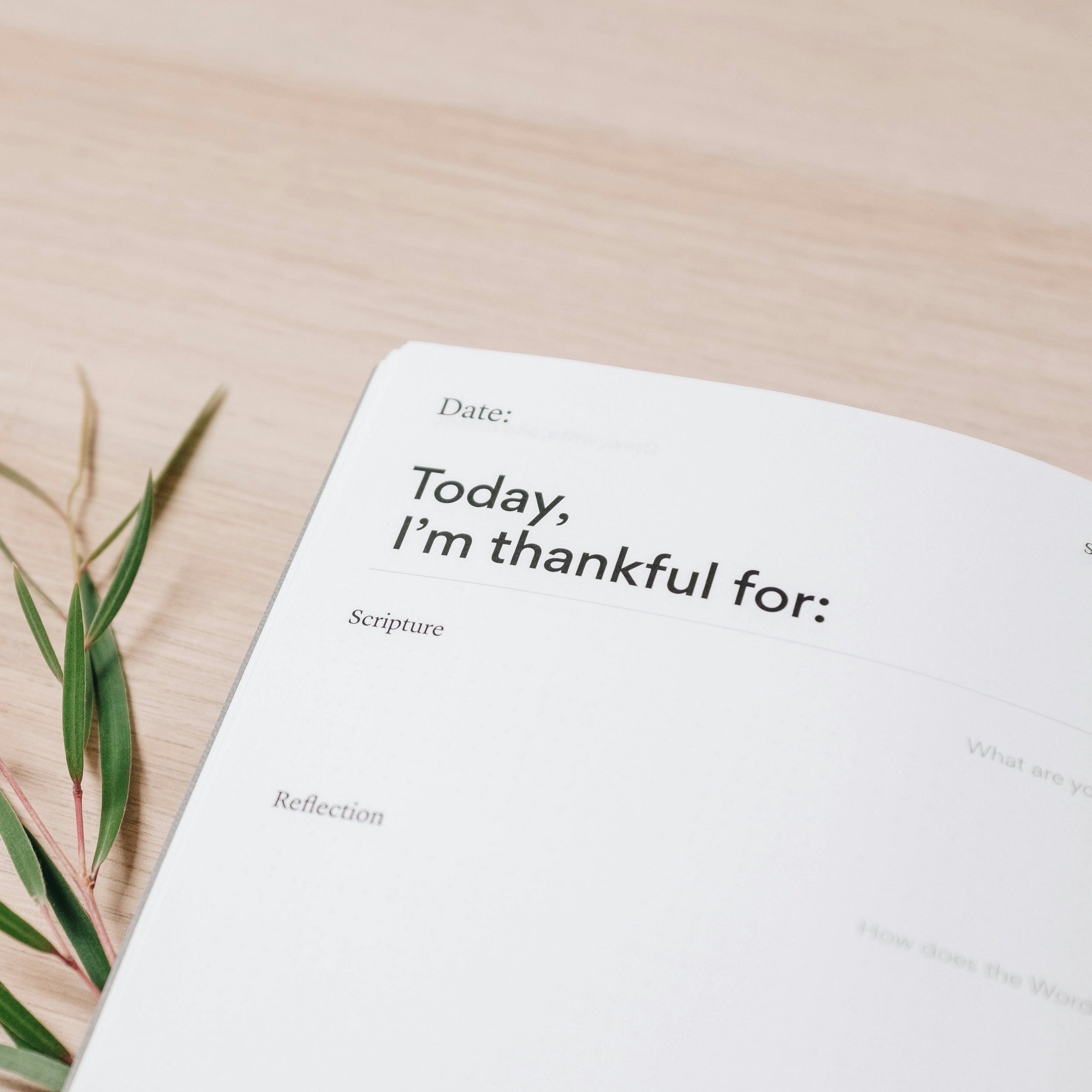 die-mentaltraining-grundlagen3